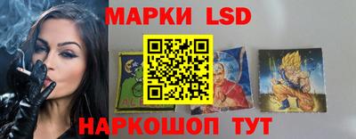 дмт Славгород